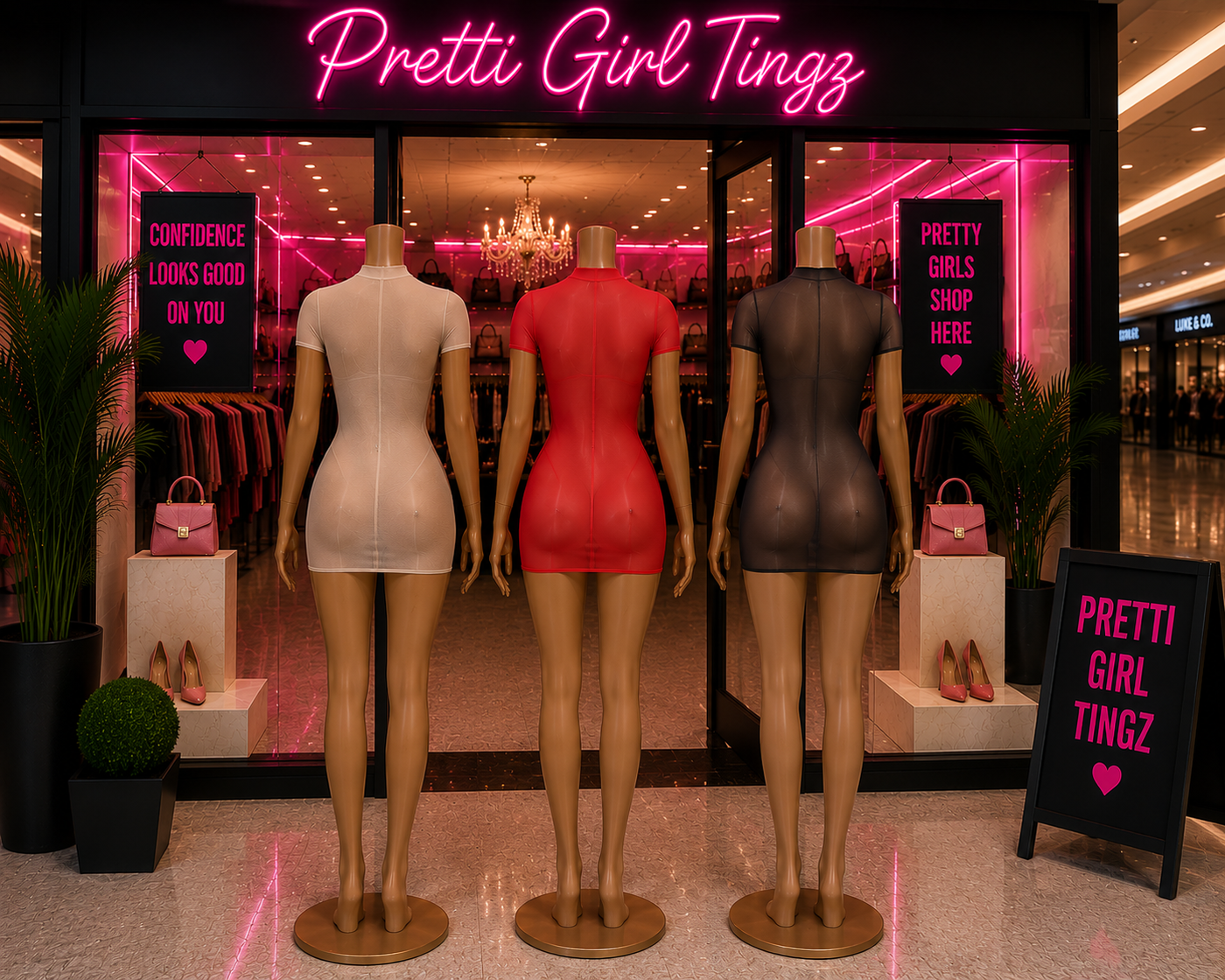 Sheer Confidence Mesh Bodycon Mini Dress